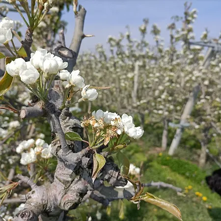 Amuse Apartman Gronsveld