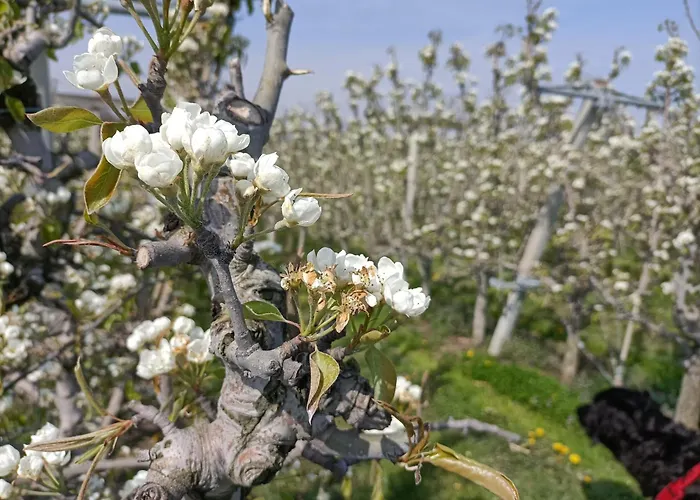 Amuse Appartement Gronsveld