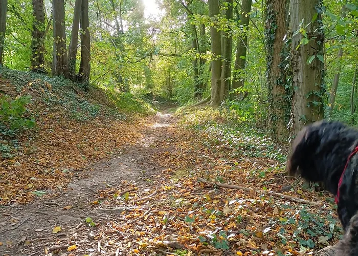 Appartement Amuse Gronsveld